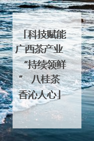 科技赋能广西茶产业“持续领鲜” 八桂茶香沁人心