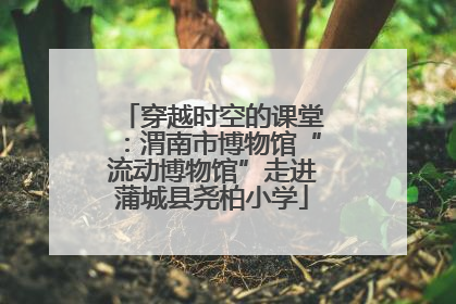 穿越时空的课堂：渭南市博物馆“流动博物馆”走进蒲城县尧柏小学