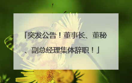 突发公告！董事长、董秘、副总经理集体辞职！
