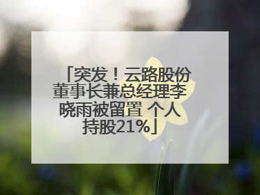 突发！云路股份董事长兼总经理李晓雨被留置 个人持股21%