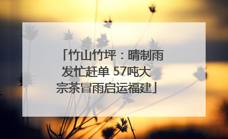 竹山竹坪：晴制雨发忙赶单 57吨大宗茶冒雨启运福建