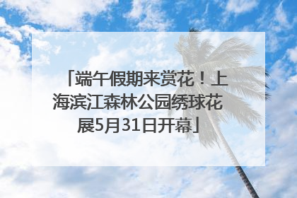 端午假期来赏花！上海滨江森林公园绣球花展5月31日开幕