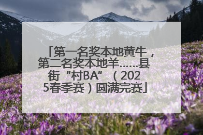 第一名奖本地黄牛，第二名奖本地羊……县街“村BA”（2025春季赛）圆满完赛