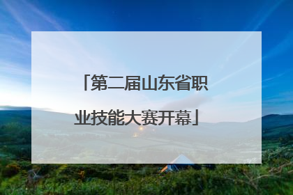 第二届山东省职业技能大赛开幕