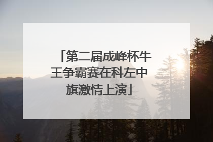 第二届成峰杯牛王争霸赛在科左中旗激情上演
