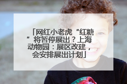 网红小老虎“红糖”将暂停展出？上海动物园：展区改建，会安排展出计划