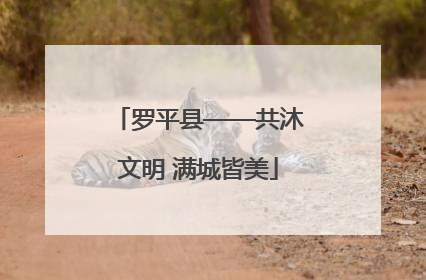 罗平县——共沐文明 满城皆美