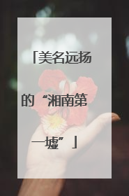 美名远扬的“湘南第一墟”