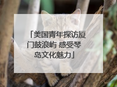 美国青年探访厦门鼓浪屿 感受琴岛文化魅力