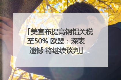 美宣布提高钢铝关税至50% 欧盟：深表遗憾 将继续谈判