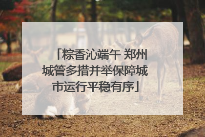粽香沁端午 郑州城管多措并举保障城市运行平稳有序