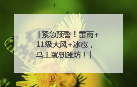 紧急预警！雷雨+11级大风+冰雹，马上就到潍坊！