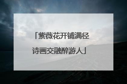紫薇花开铺满径 诗画交融醉游人