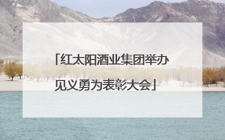 红太阳酒业集团举办见义勇为表彰大会