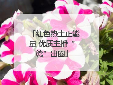 红色热土正能量 优质主播“赣”出圈