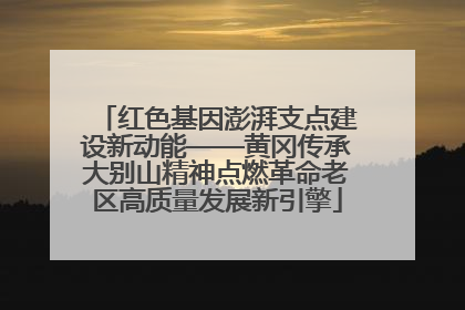 红色基因澎湃支点建设新动能——黄冈传承大别山精神点燃革命老区高质量发展新引擎