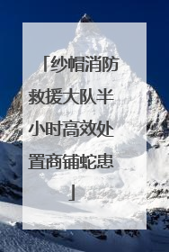 纱帽消防救援大队半小时高效处置商铺蛇患