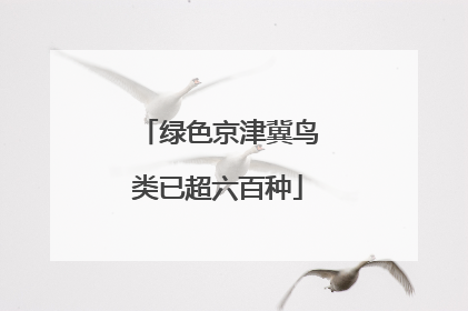 绿色京津冀鸟类已超六百种
