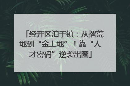 经开区泊于镇：从撂荒地到“金土地”！靠“人才密码”逆袭出圈