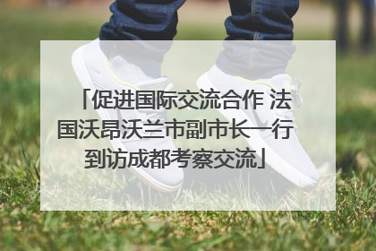促进国际交流合作 法国沃昂沃兰市副市长一行到访成都考察交流