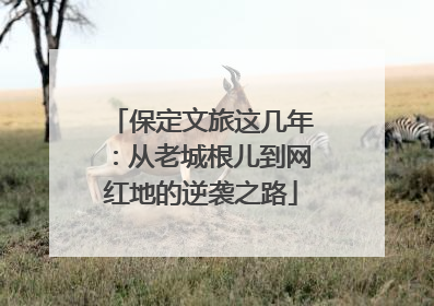 保定文旅这几年：从老城根儿到网红地的逆袭之路