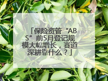 保险资管“ABS”前5月登记规模大幅增长，赛道深耕靠什么？