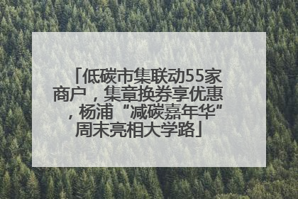 低碳市集联动55家商户，集章换券享优惠，杨浦“减碳嘉年华”周末亮相大学路