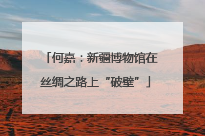 何嘉：新疆博物馆在丝绸之路上“破壁”