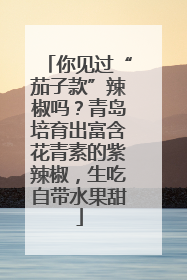你见过“茄子款”辣椒吗？青岛培育出富含花青素的紫辣椒，生吃自带水果甜