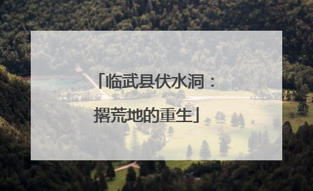 临武县伏水洞：撂荒地的重生