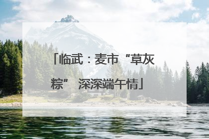 临武：麦市“草灰粽” 深深端午情