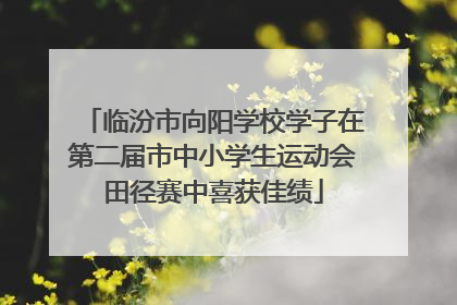 临汾市向阳学校学子在第二届市中小学生运动会田径赛中喜获佳绩