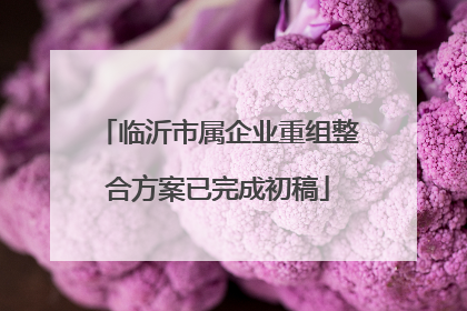 临沂市属企业重组整合方案已完成初稿