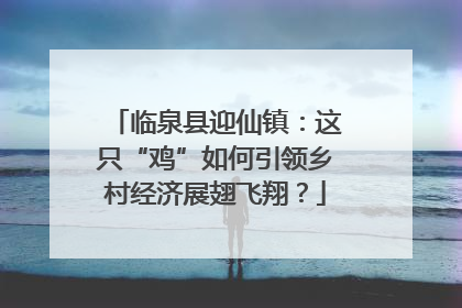 临泉县迎仙镇：这只“鸡”如何引领乡村经济展翅飞翔？