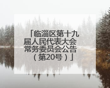 临淄区第十九届人民代表大会常务委员会公告（第20号）