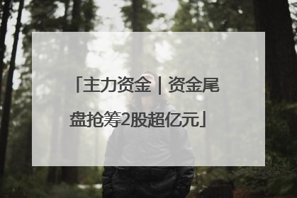 主力资金｜资金尾盘抢筹2股超亿元