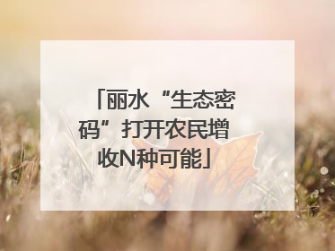 丽水“生态密码”打开农民增收N种可能