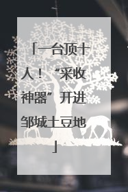 一台顶十人！“采收神器”开进邹城土豆地