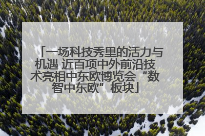 一场科技秀里的活力与机遇 近百项中外前沿技术亮相中东欧博览会“数智中东欧”板块