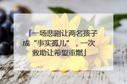 一场悲剧让两名孩子成“事实孤儿”，一次救助让希望重燃
