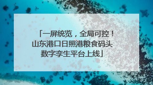 一屏统览，全局可控！山东港口日照港粮食码头数字孪生平台上线