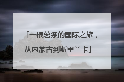 一根薯条的国际之旅，从内蒙古到斯里兰卡