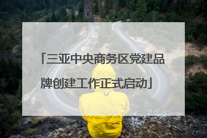 三亚中央商务区党建品牌创建工作正式启动