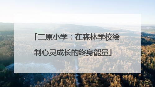 三原小学：在森林学校绘制心灵成长的终身能量
