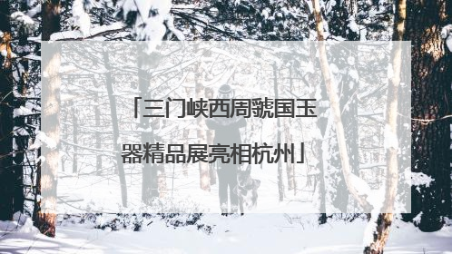 三门峡西周虢国玉器精品展亮相杭州