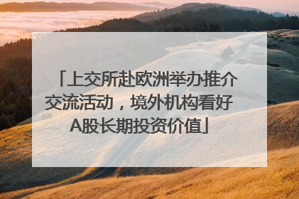上交所赴欧洲举办推介交流活动，境外机构看好A股长期投资价值
