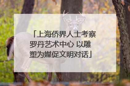上海侨界人士考察罗丹艺术中心 以雕塑为媒促文明对话
