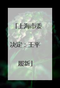 上海市委决定：王平履新