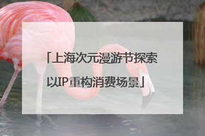 上海次元漫游节探索以IP重构消费场景
