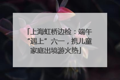 上海虹桥边检：端午“遇上”六一，携儿童家庭出境游火热